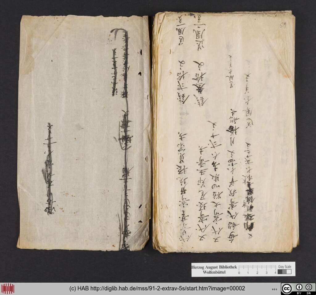 http://diglib.hab.de/mss/91-2-extrav-5s/00002.jpg