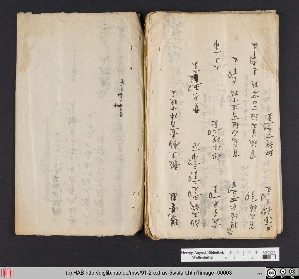 http://diglib.hab.de/mss/91-2-extrav-5s/00003.jpg