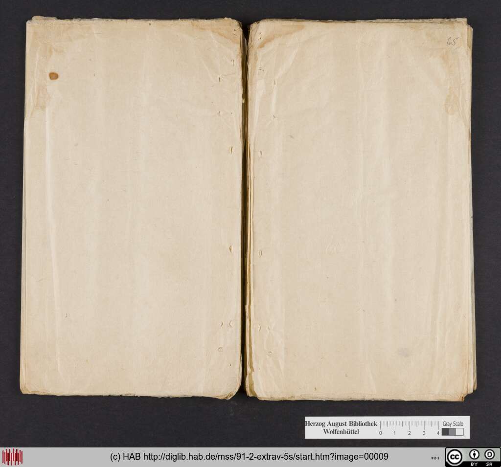 http://diglib.hab.de/mss/91-2-extrav-5s/00009.jpg