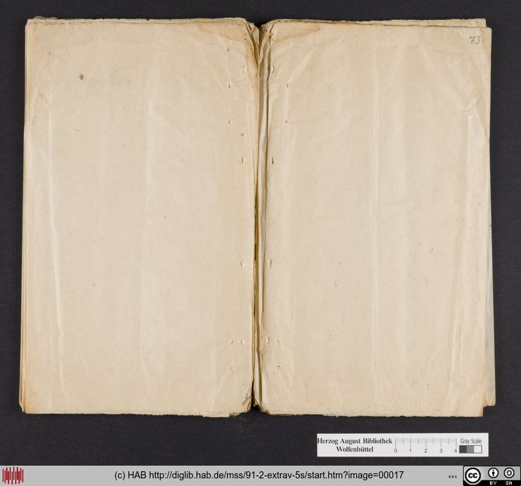 http://diglib.hab.de/mss/91-2-extrav-5s/00017.jpg