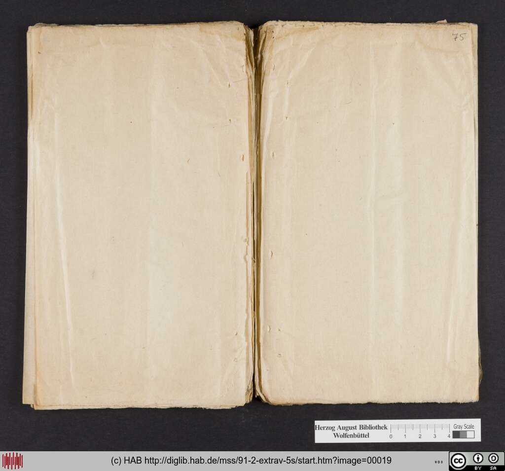 http://diglib.hab.de/mss/91-2-extrav-5s/00019.jpg