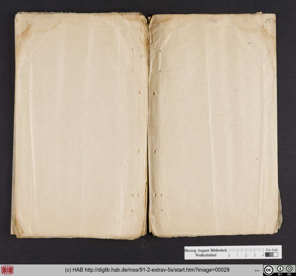 http://diglib.hab.de/mss/91-2-extrav-5s/00029.jpg