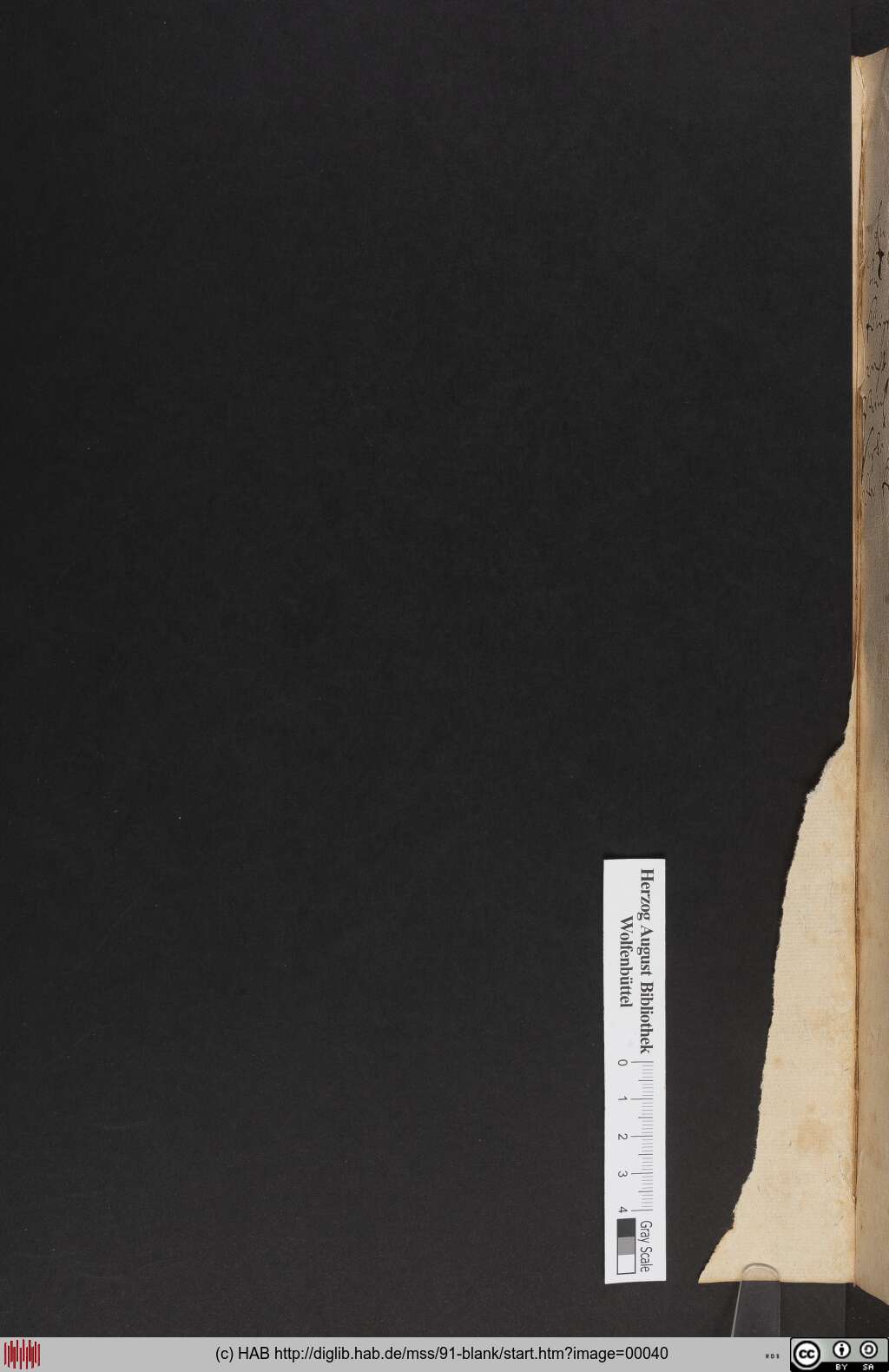 http://diglib.hab.de/mss/91-blank/00040.jpg