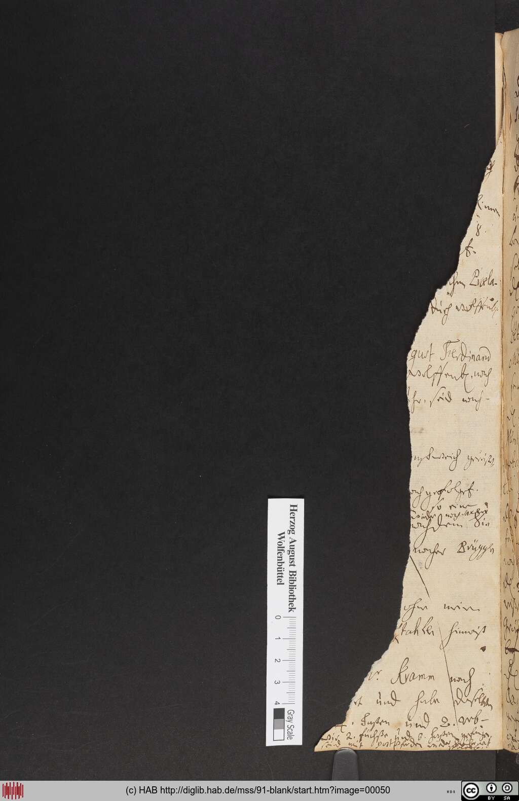 http://diglib.hab.de/mss/91-blank/00050.jpg