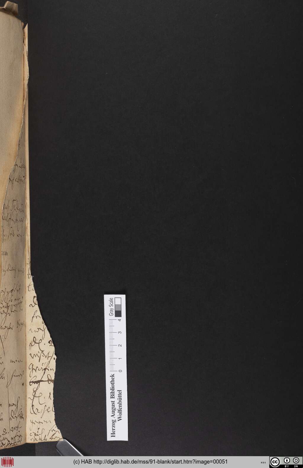 http://diglib.hab.de/mss/91-blank/00051.jpg