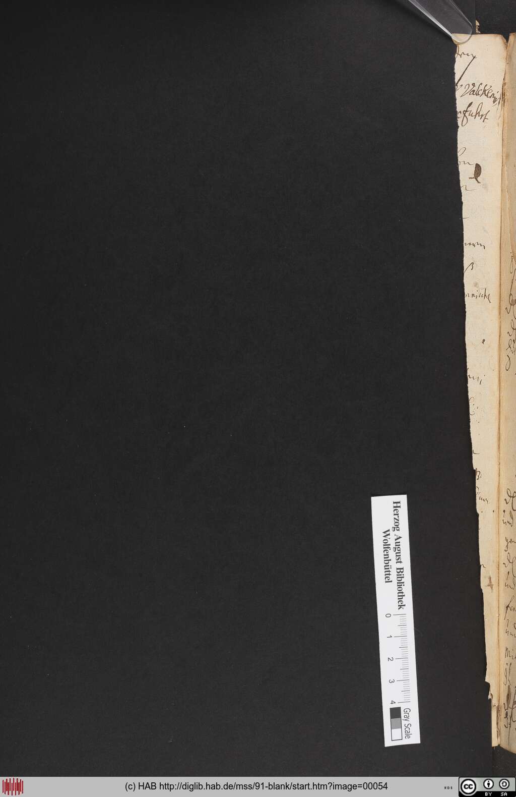 http://diglib.hab.de/mss/91-blank/00054.jpg
