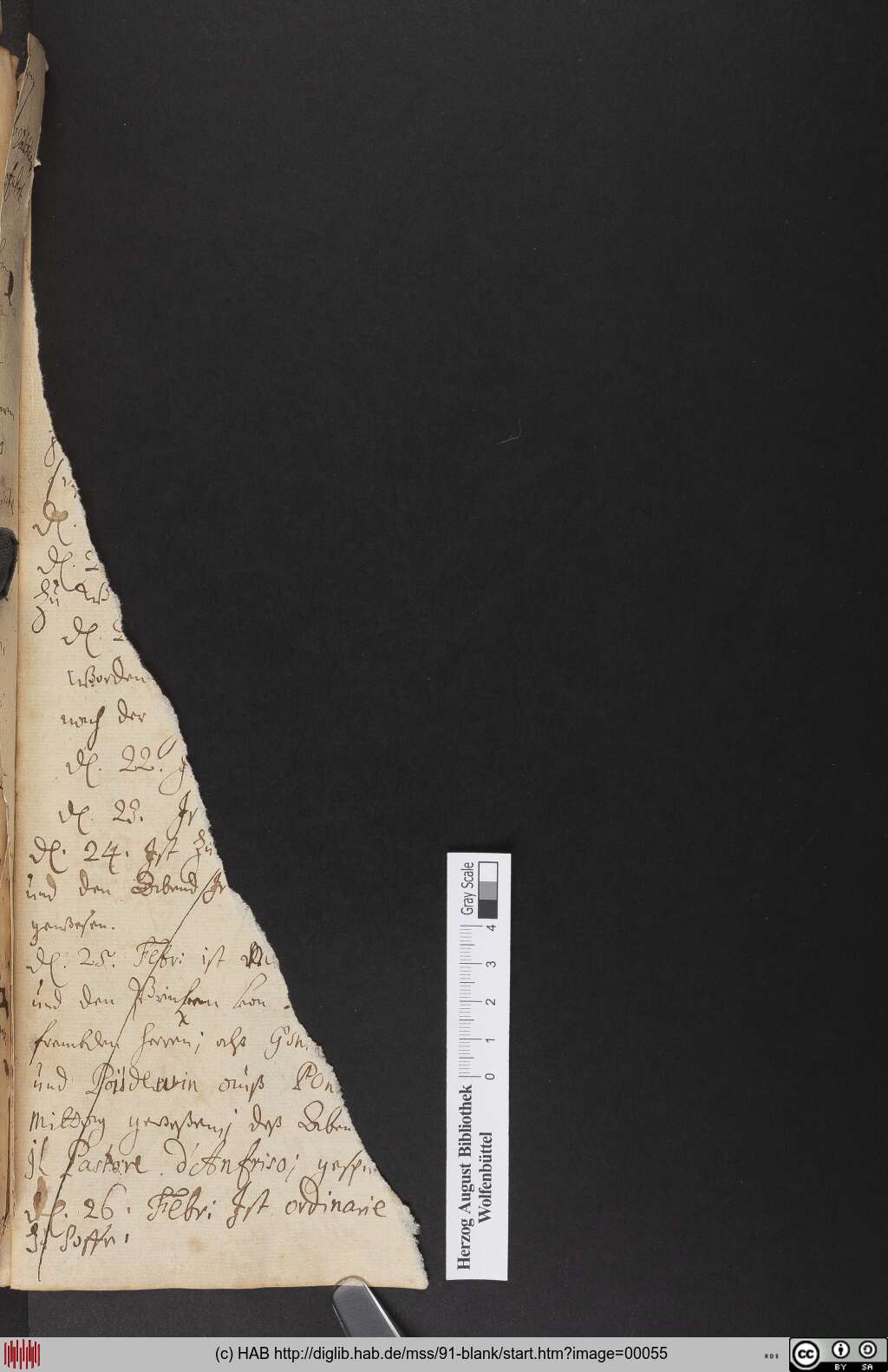 http://diglib.hab.de/mss/91-blank/00055.jpg