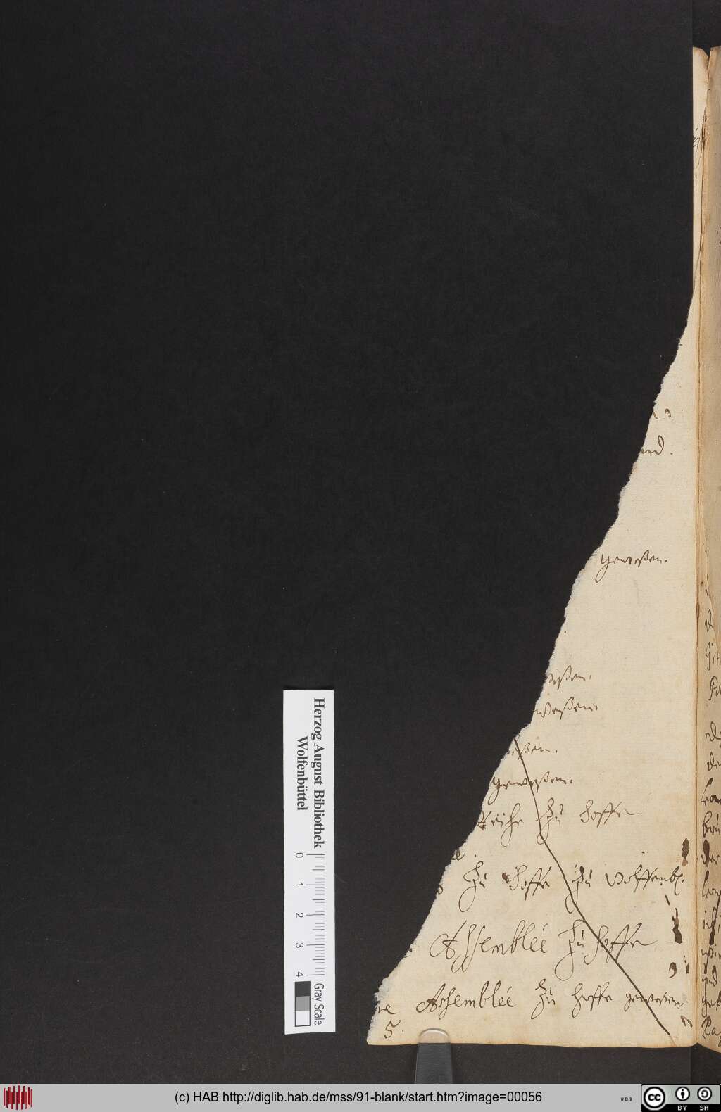 http://diglib.hab.de/mss/91-blank/00056.jpg