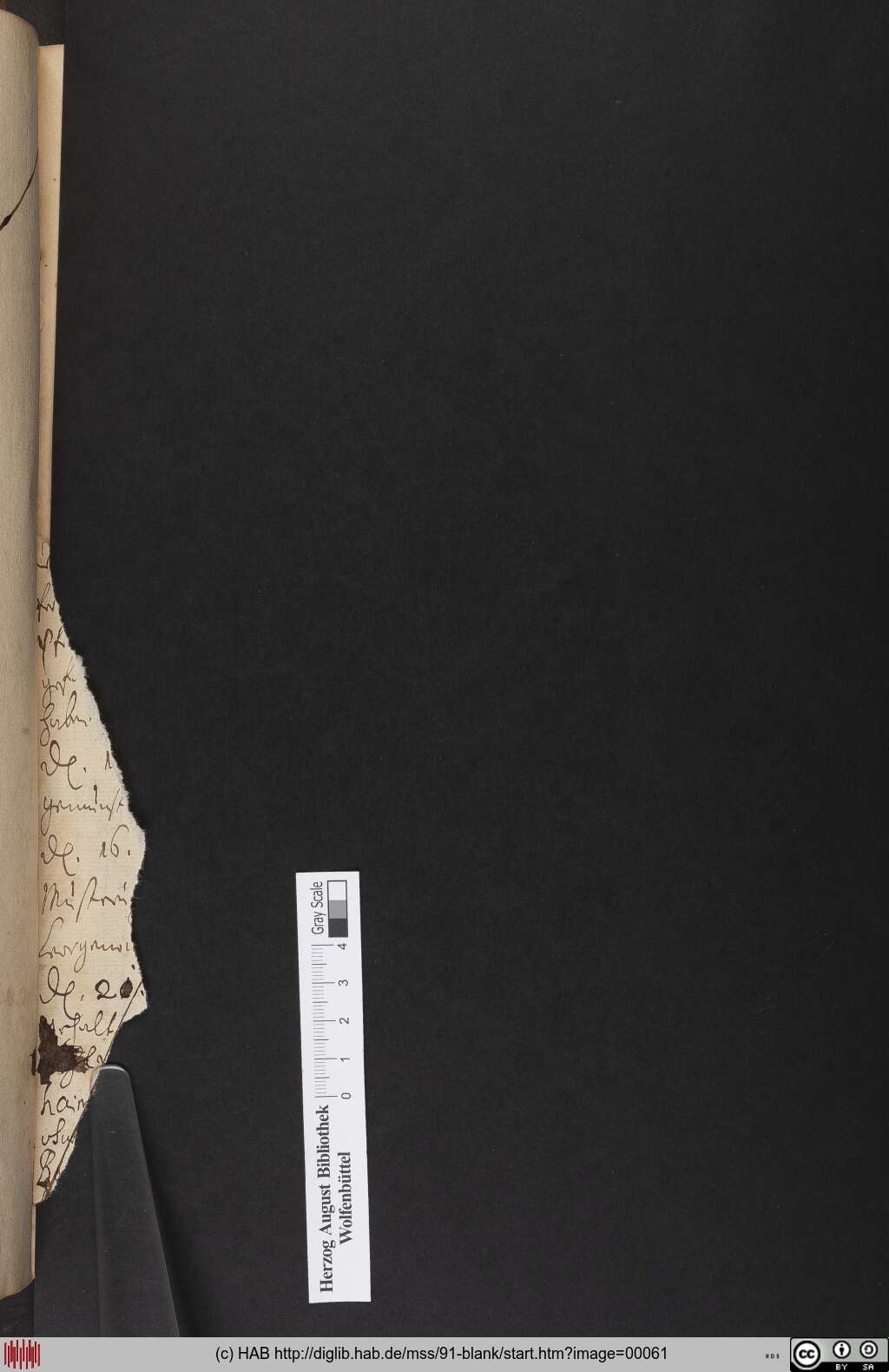 http://diglib.hab.de/mss/91-blank/00061.jpg