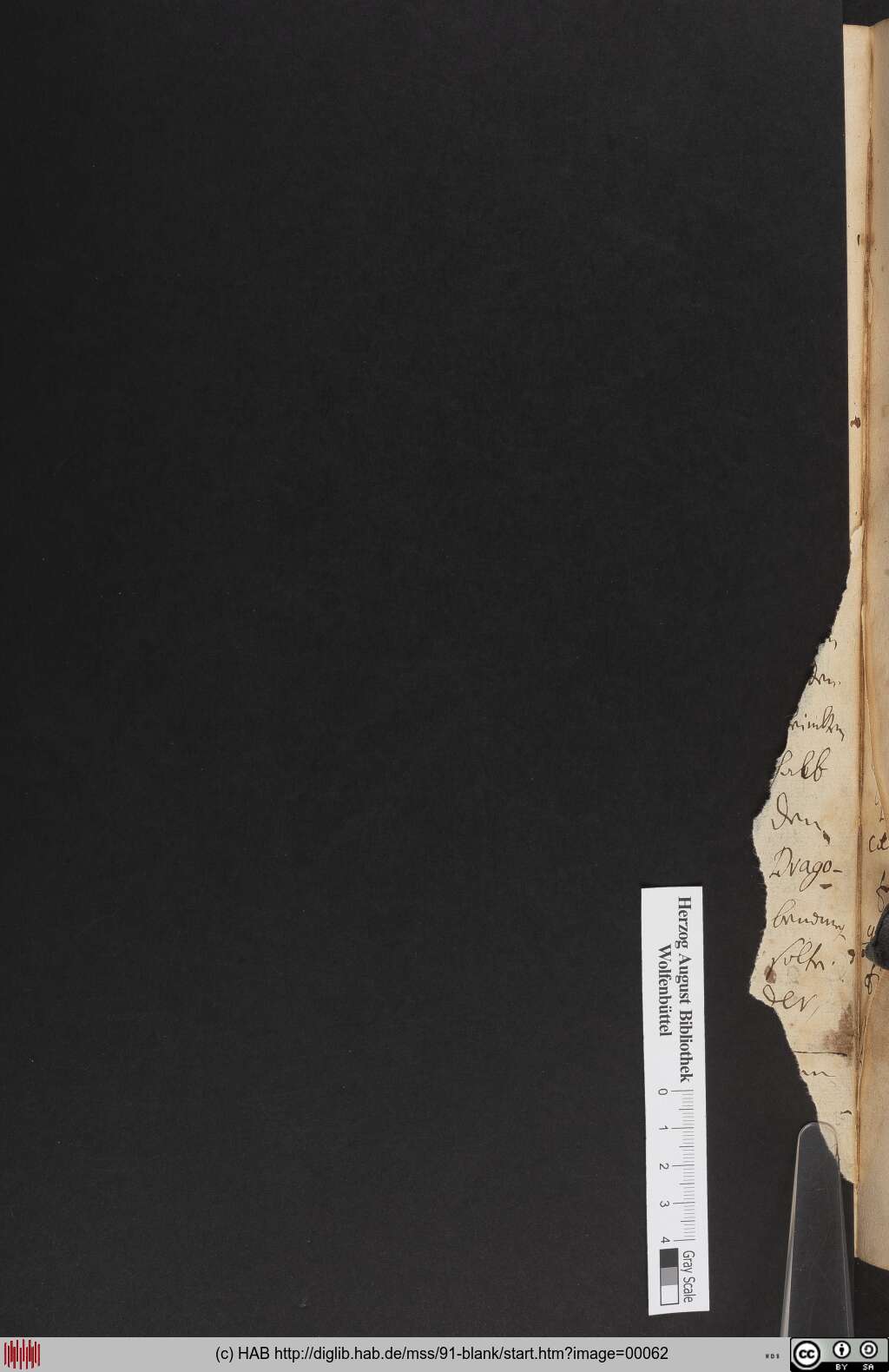 http://diglib.hab.de/mss/91-blank/00062.jpg