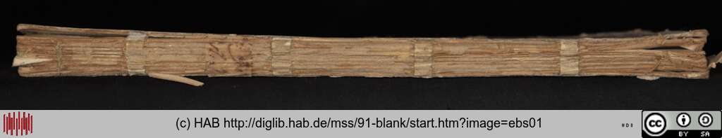 http://diglib.hab.de/mss/91-blank/ebs01.jpg