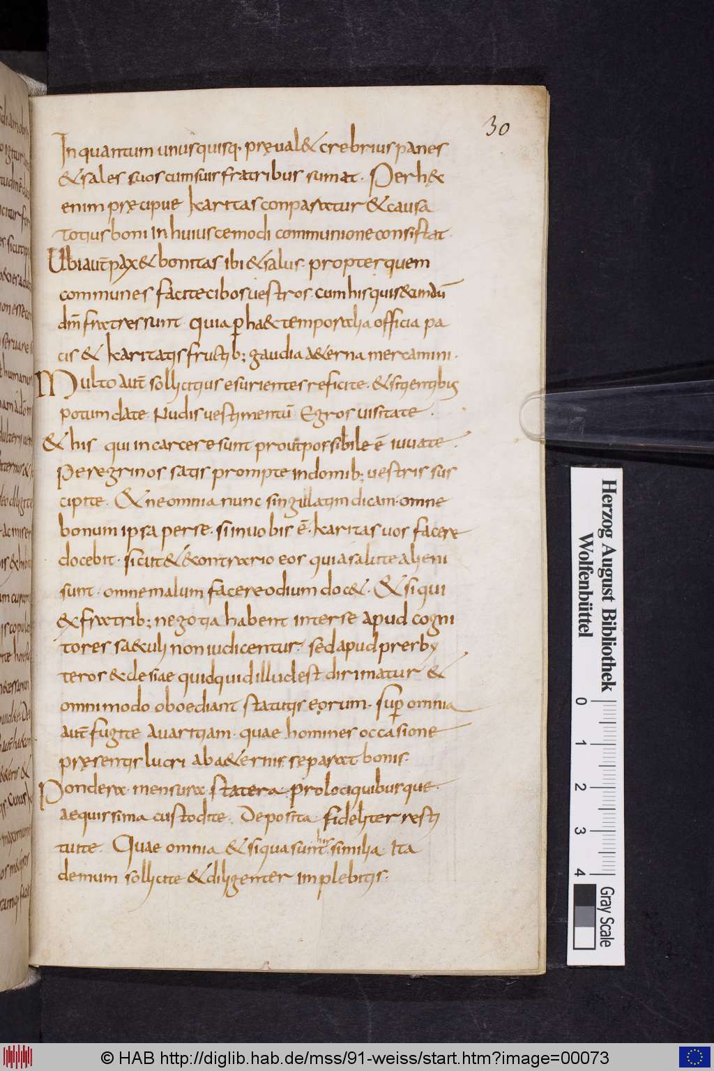 http://diglib.hab.de/mss/91-weiss/00073.jpg