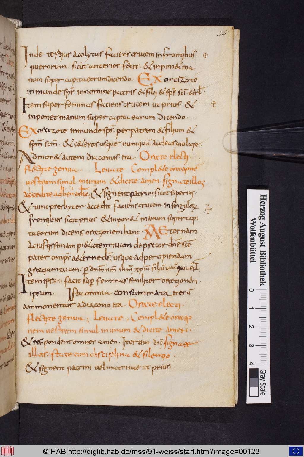http://diglib.hab.de/mss/91-weiss/00123.jpg