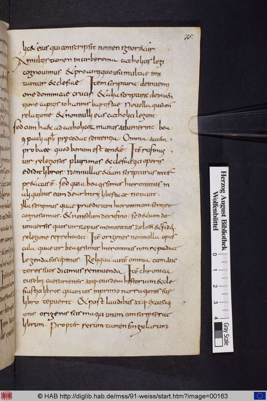 http://diglib.hab.de/mss/91-weiss/00163.jpg
