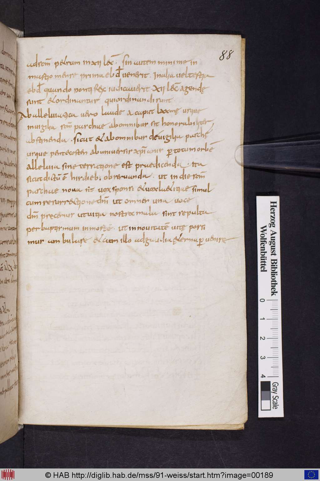 http://diglib.hab.de/mss/91-weiss/00189.jpg