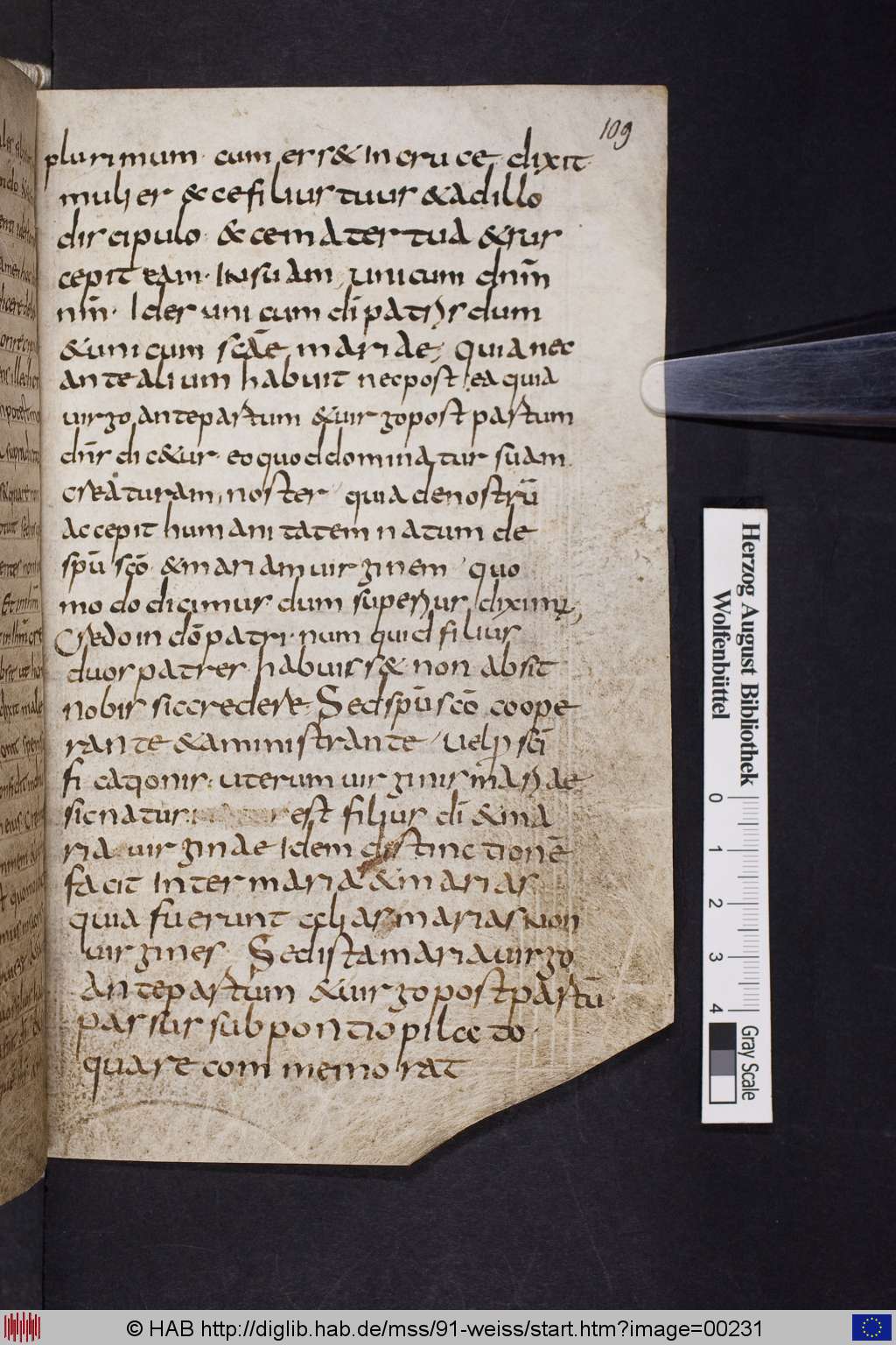 http://diglib.hab.de/mss/91-weiss/00231.jpg