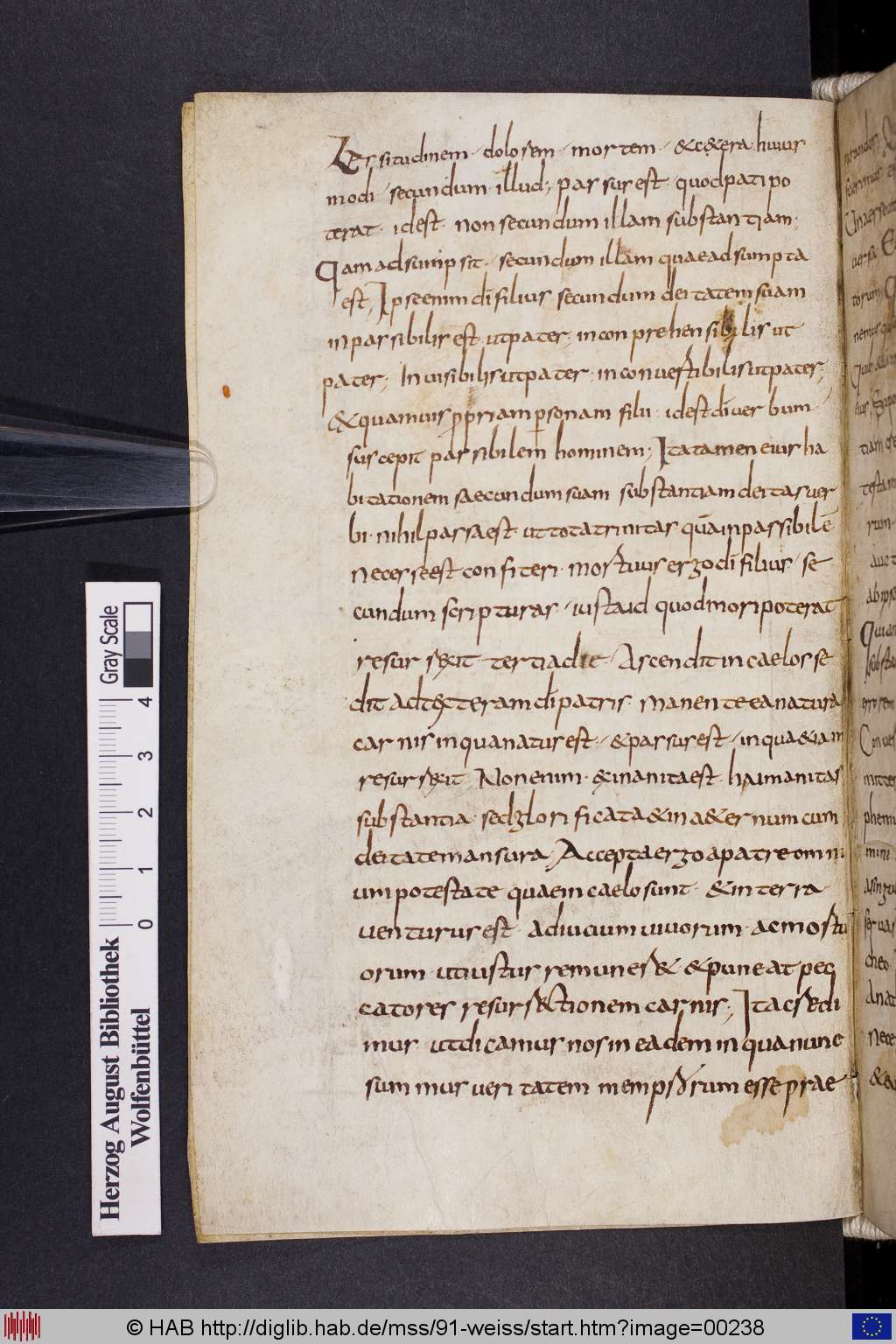 http://diglib.hab.de/mss/91-weiss/00238.jpg