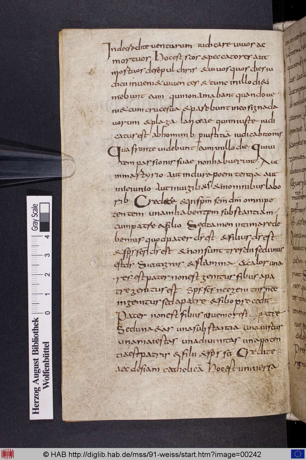 http://diglib.hab.de/mss/91-weiss/00242.jpg