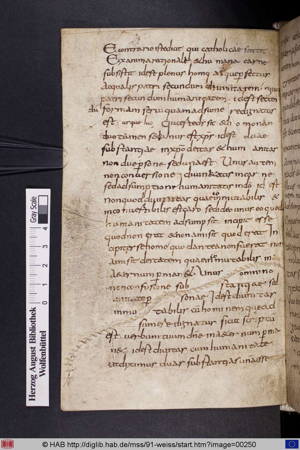 http://diglib.hab.de/mss/91-weiss/00250.jpg