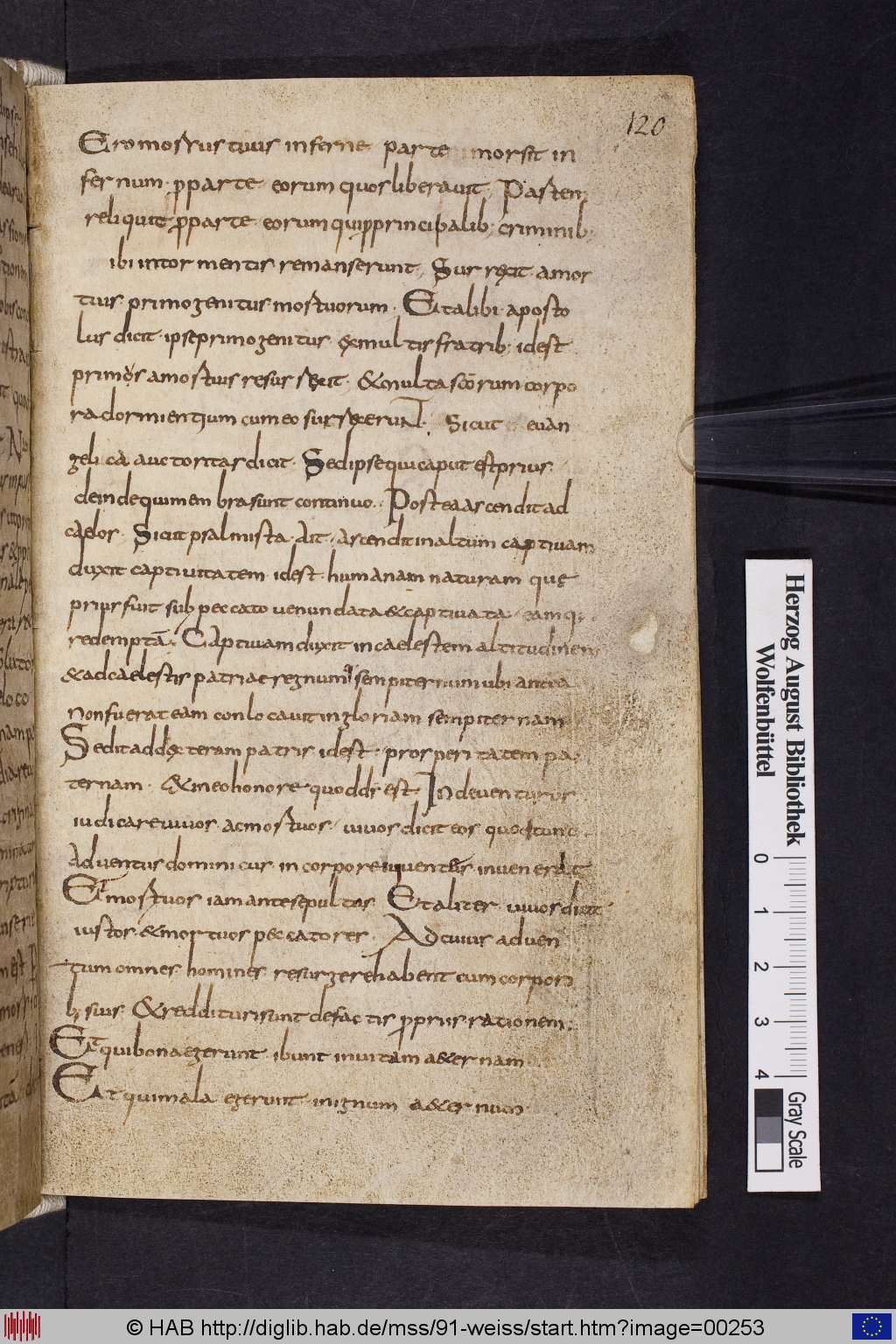 http://diglib.hab.de/mss/91-weiss/00253.jpg