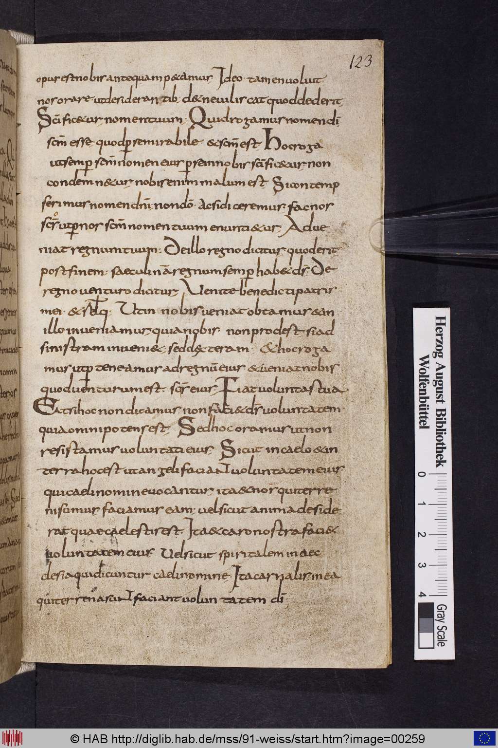 http://diglib.hab.de/mss/91-weiss/00259.jpg