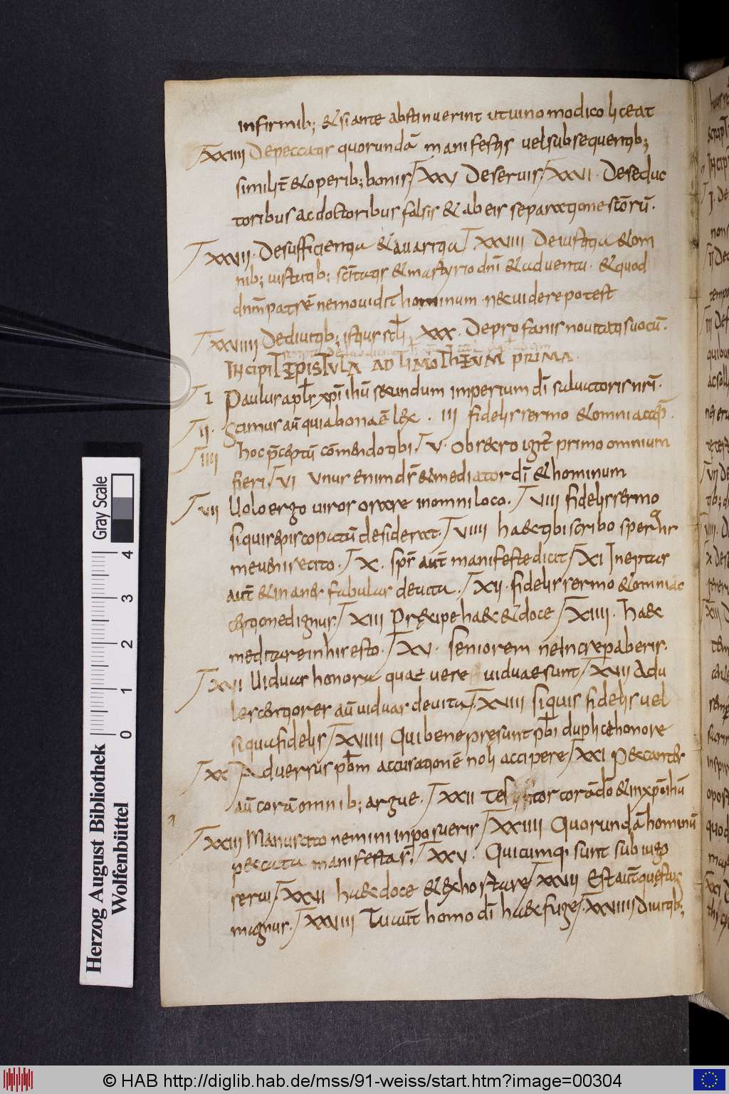 http://diglib.hab.de/mss/91-weiss/00304.jpg