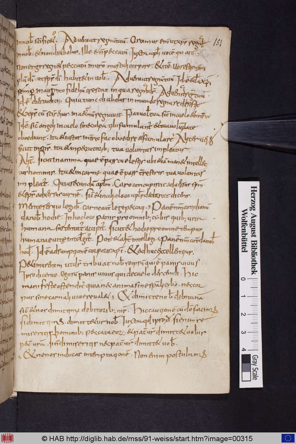 http://diglib.hab.de/mss/91-weiss/00315.jpg