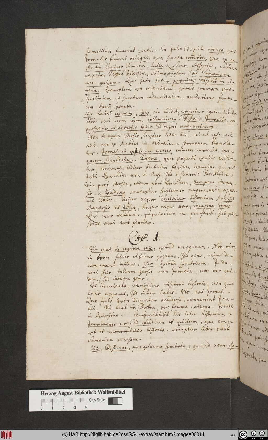 http://diglib.hab.de/mss/95-1-extrav/00014.jpg