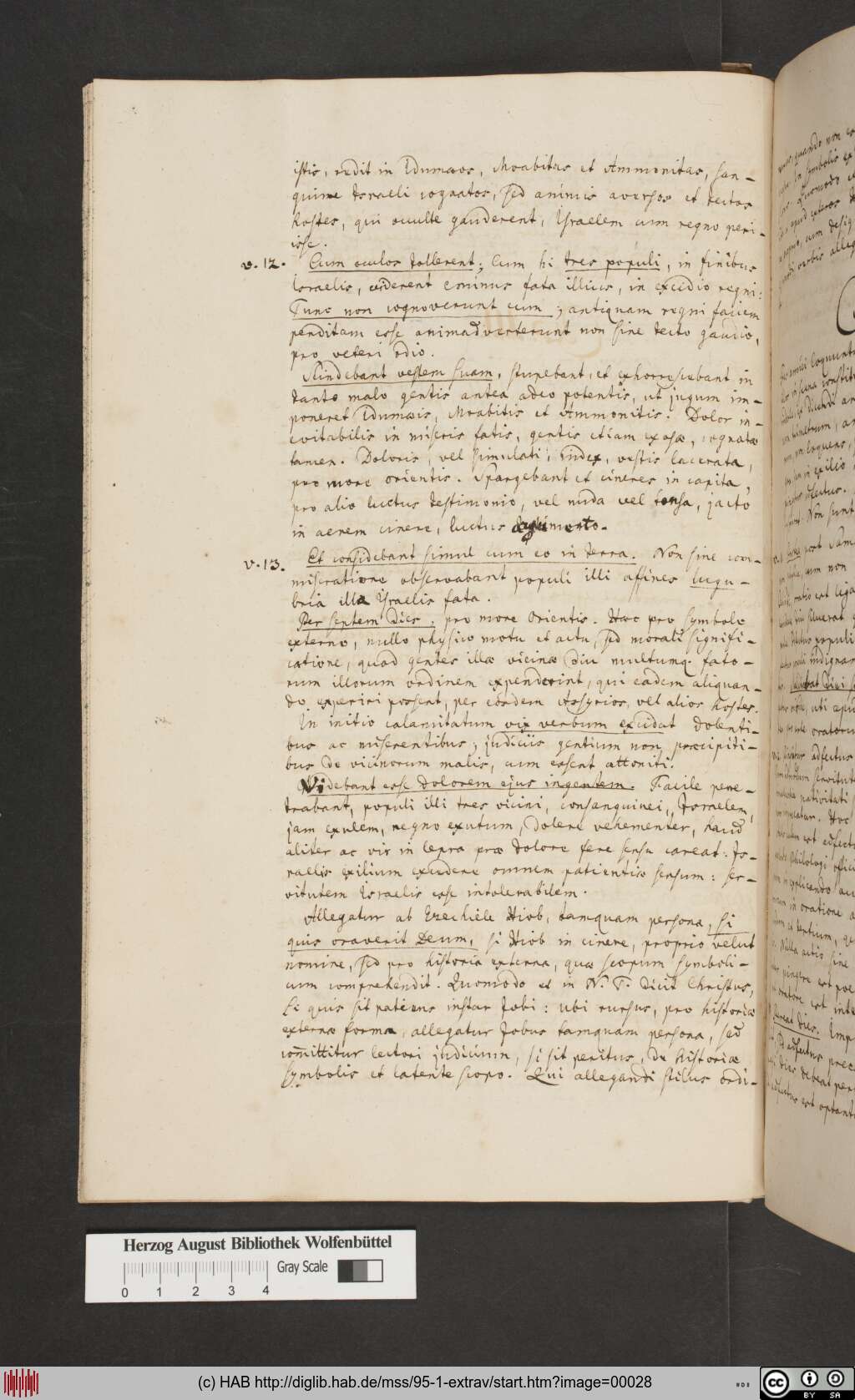 http://diglib.hab.de/mss/95-1-extrav/00028.jpg