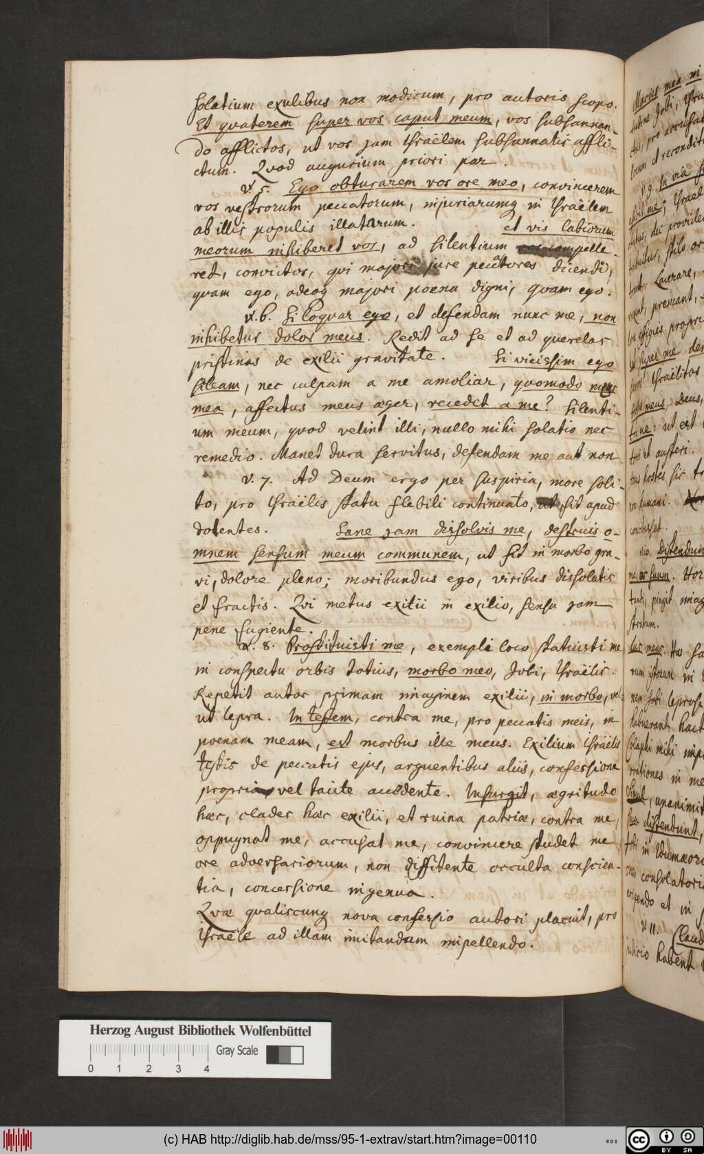 http://diglib.hab.de/mss/95-1-extrav/00110.jpg