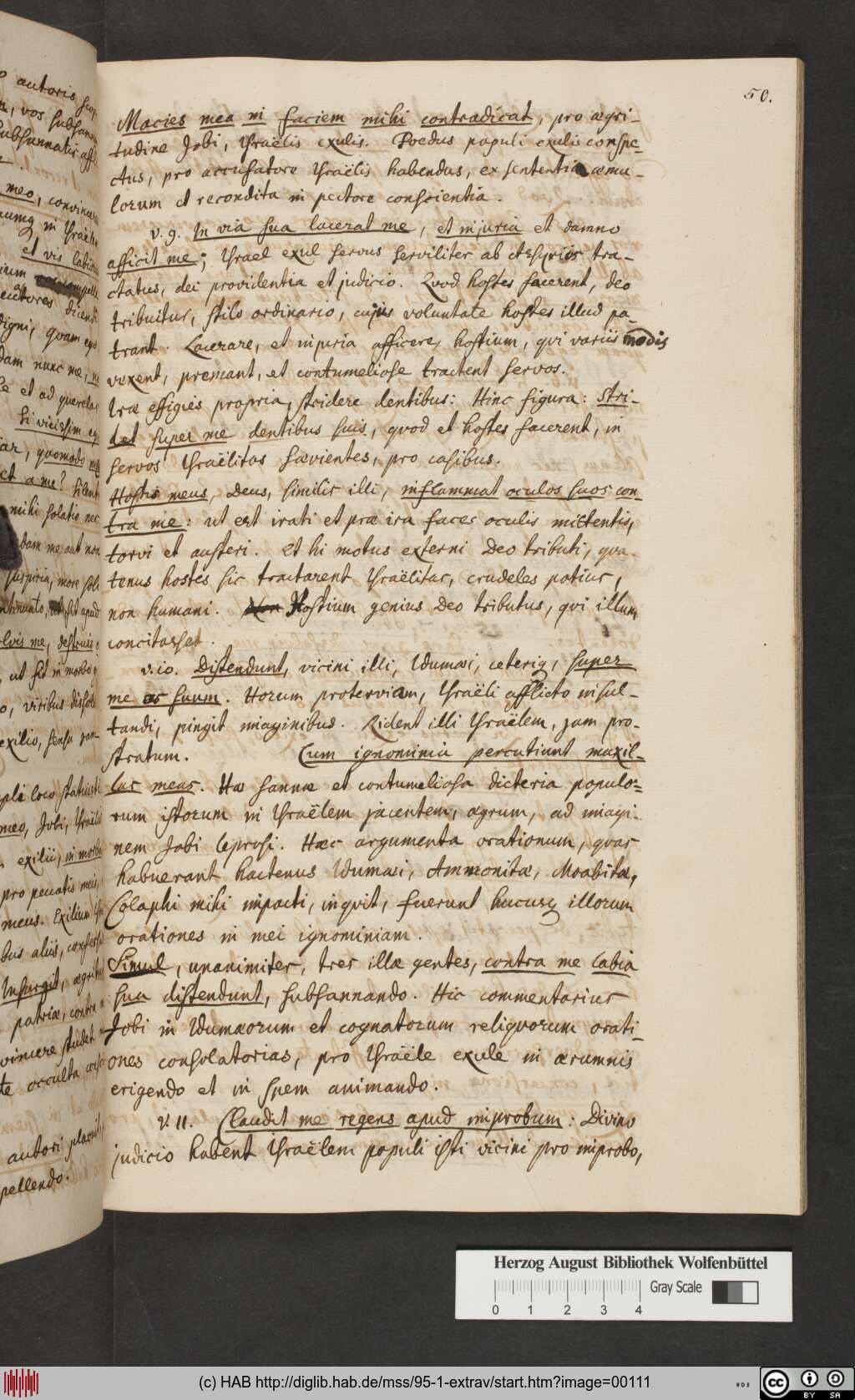 http://diglib.hab.de/mss/95-1-extrav/00111.jpg