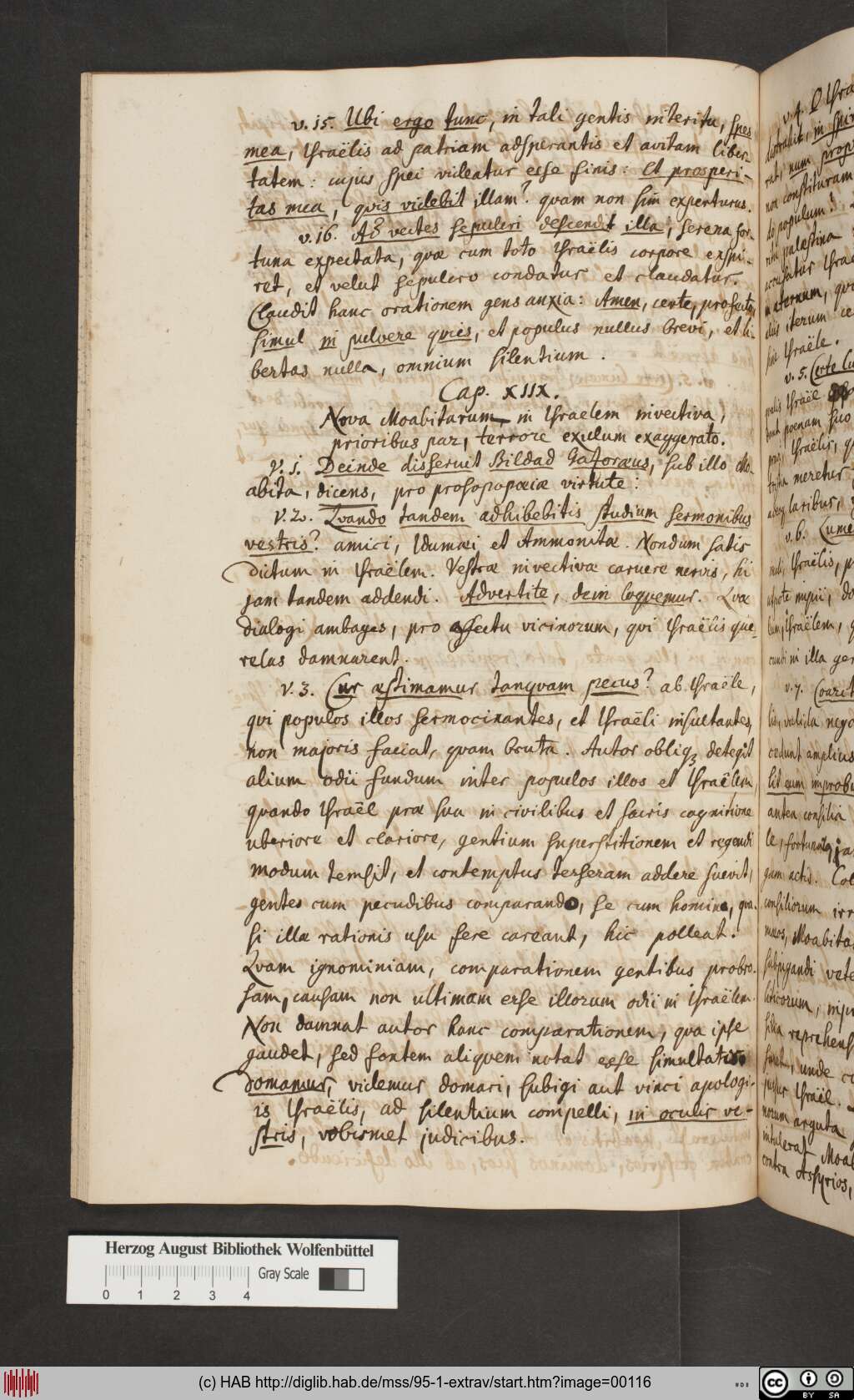 http://diglib.hab.de/mss/95-1-extrav/00116.jpg