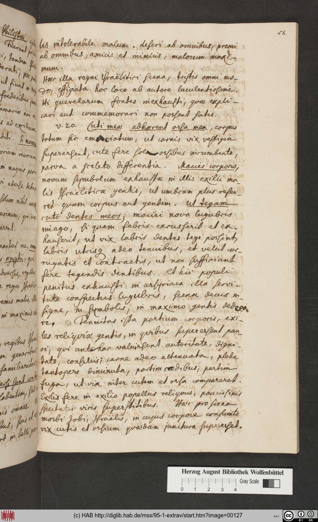 http://diglib.hab.de/mss/95-1-extrav/00127.jpg