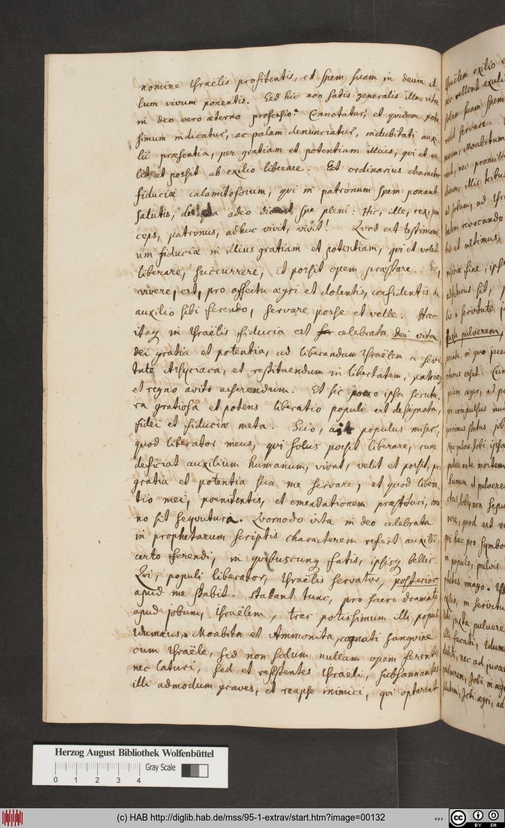 http://diglib.hab.de/mss/95-1-extrav/00132.jpg
