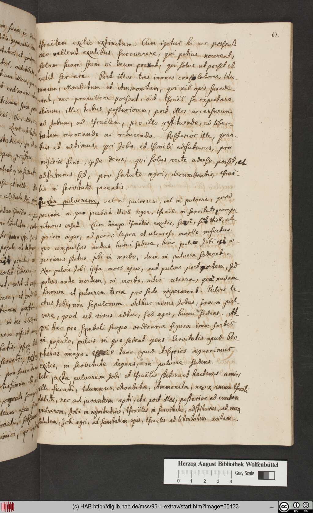http://diglib.hab.de/mss/95-1-extrav/00133.jpg