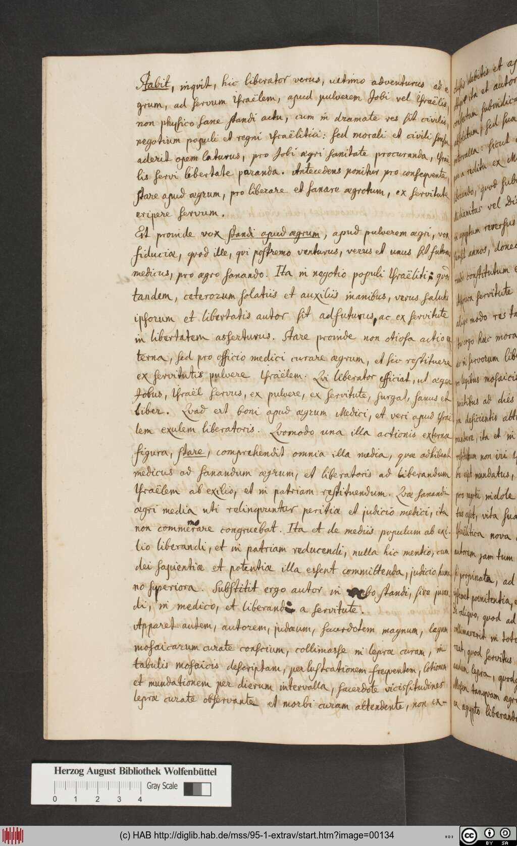 http://diglib.hab.de/mss/95-1-extrav/00134.jpg
