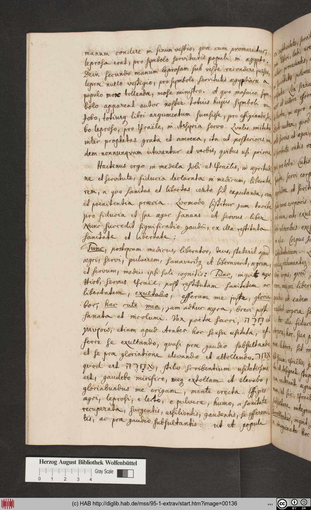 http://diglib.hab.de/mss/95-1-extrav/00136.jpg