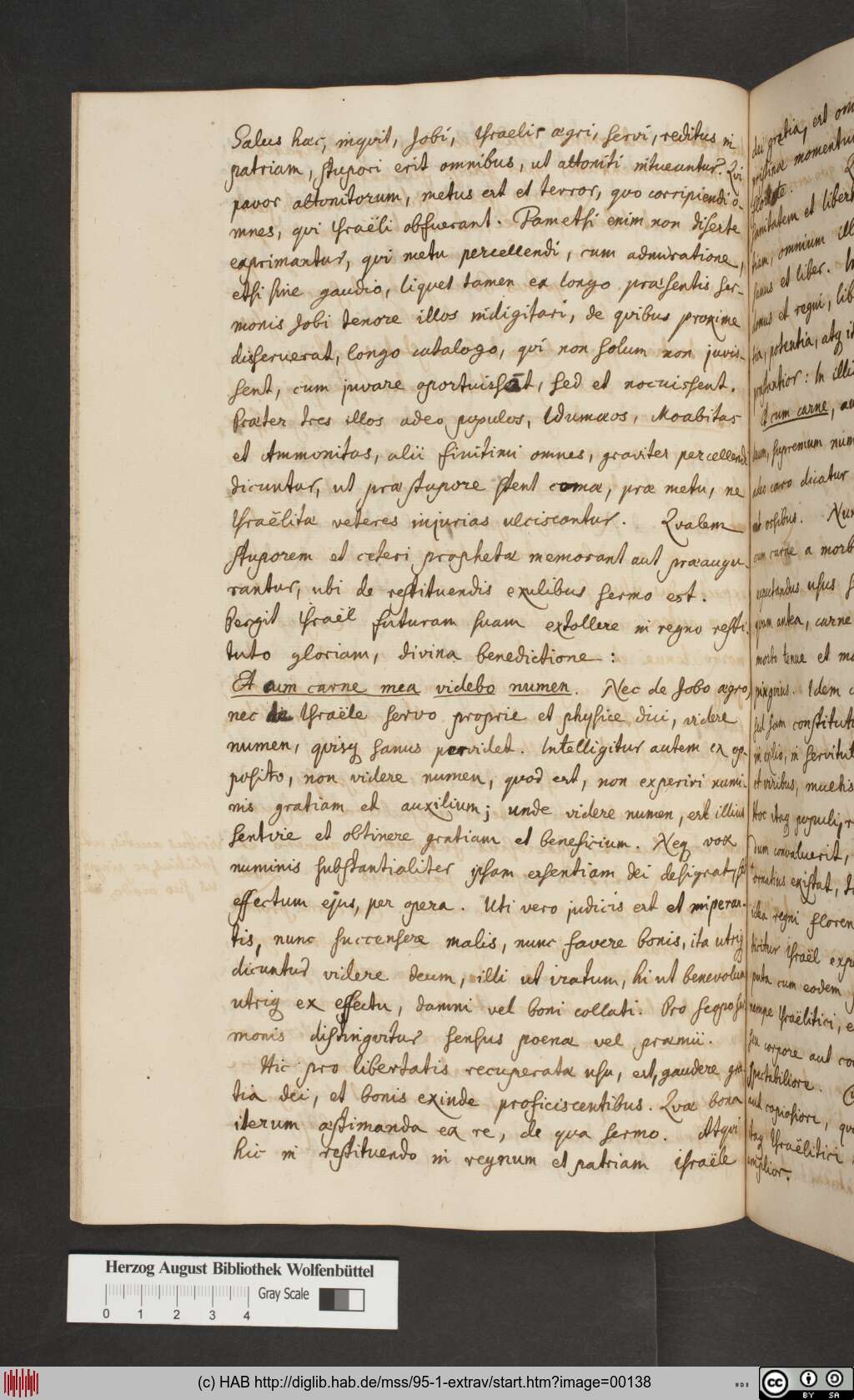 http://diglib.hab.de/mss/95-1-extrav/00138.jpg