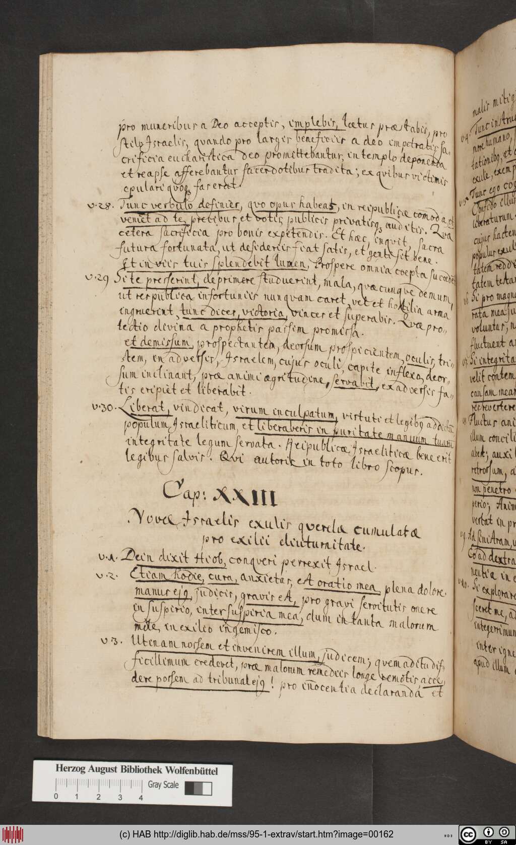 http://diglib.hab.de/mss/95-1-extrav/00162.jpg