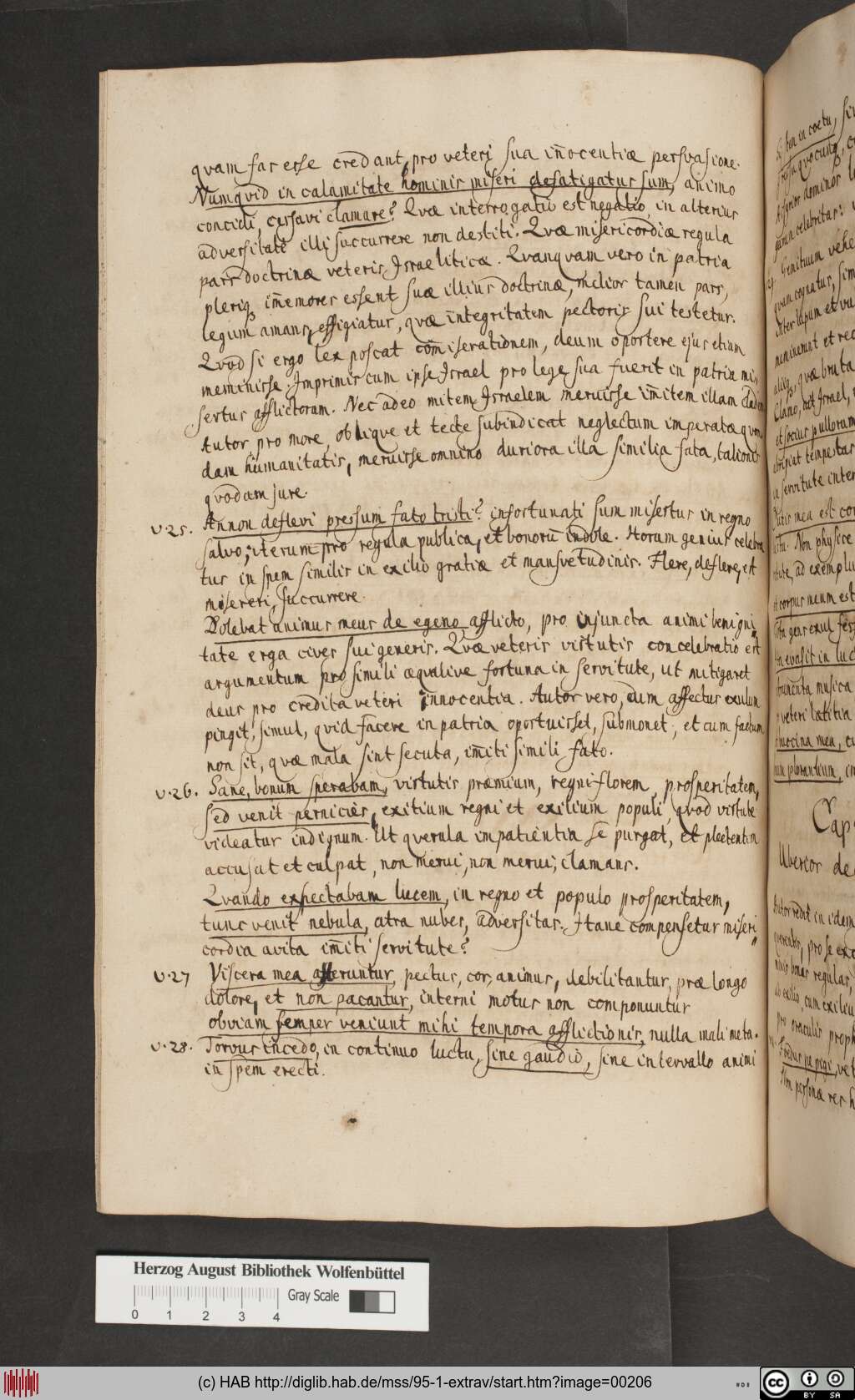 http://diglib.hab.de/mss/95-1-extrav/00206.jpg