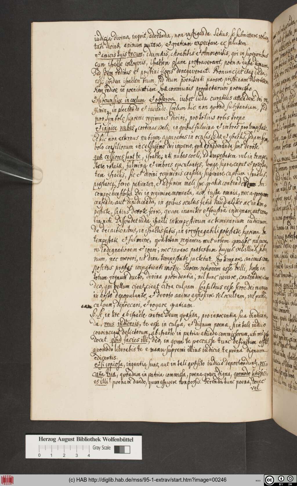 http://diglib.hab.de/mss/95-1-extrav/00246.jpg