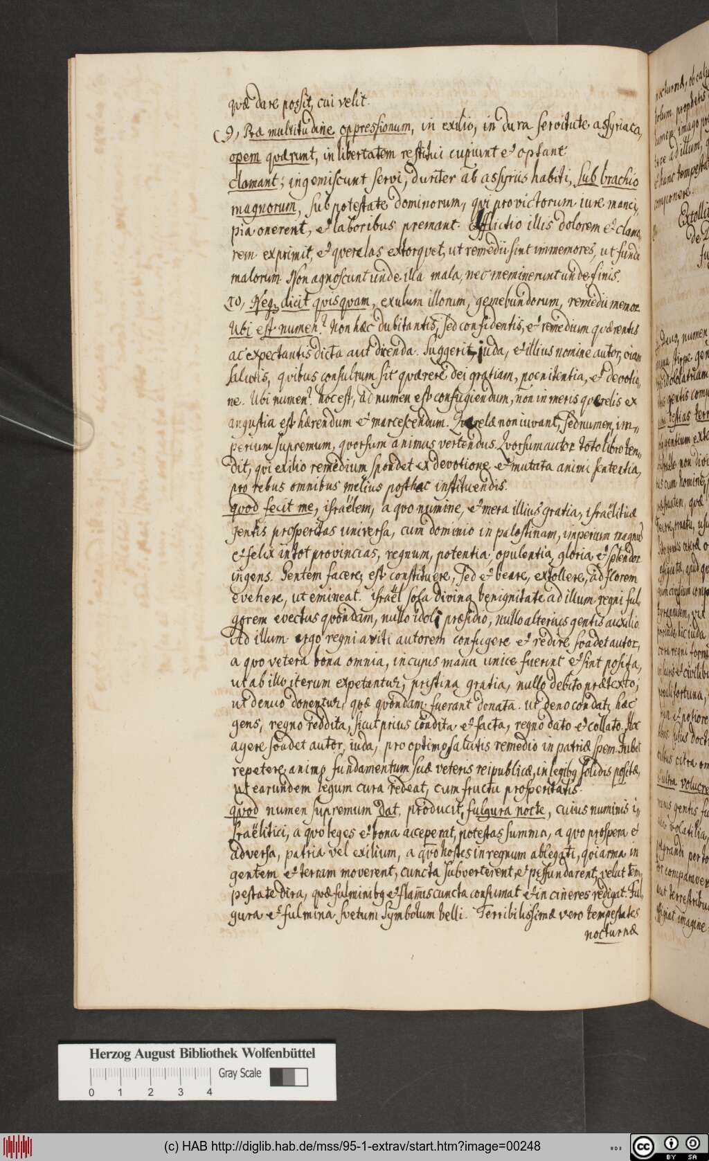 http://diglib.hab.de/mss/95-1-extrav/00248.jpg