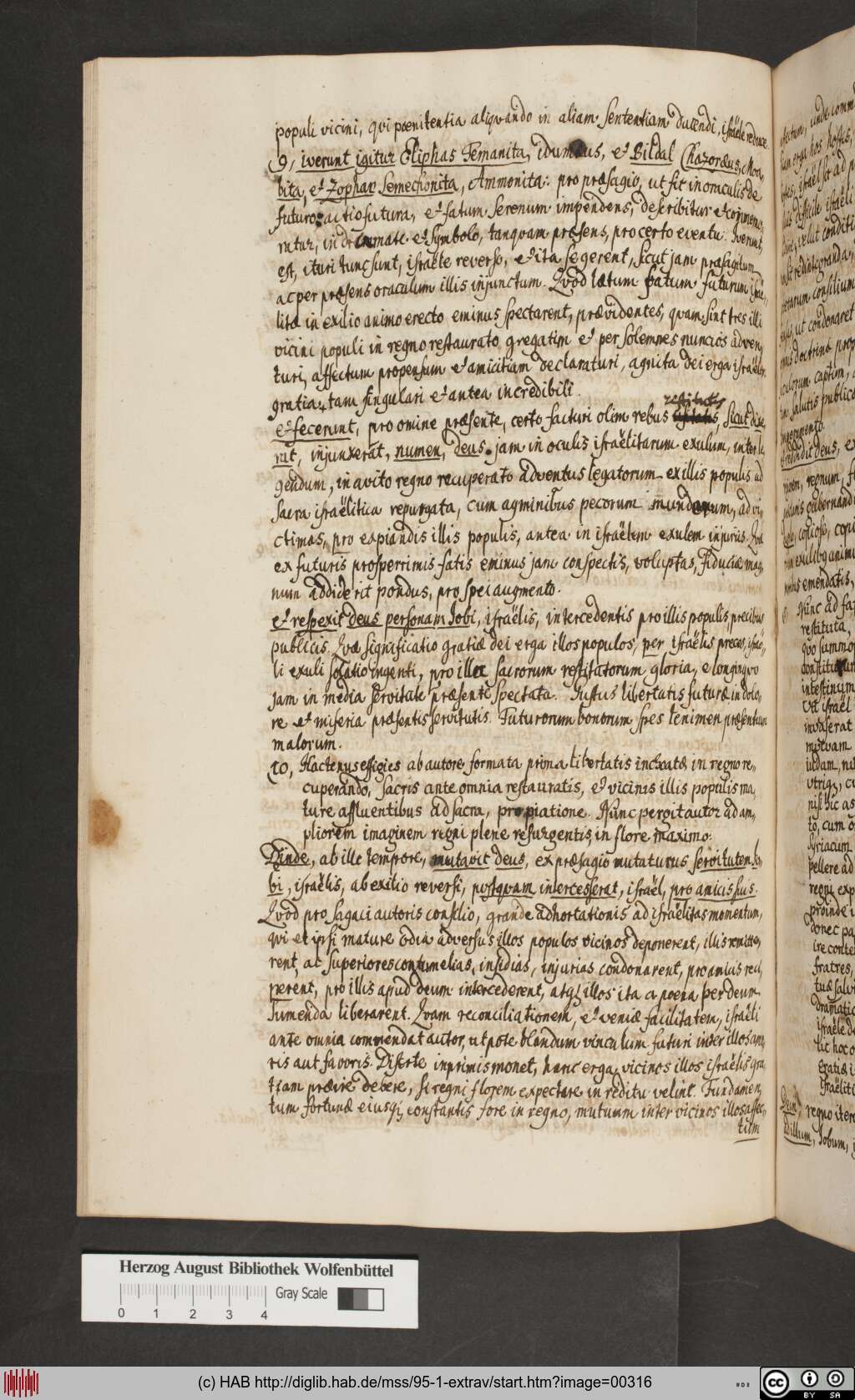 http://diglib.hab.de/mss/95-1-extrav/00316.jpg