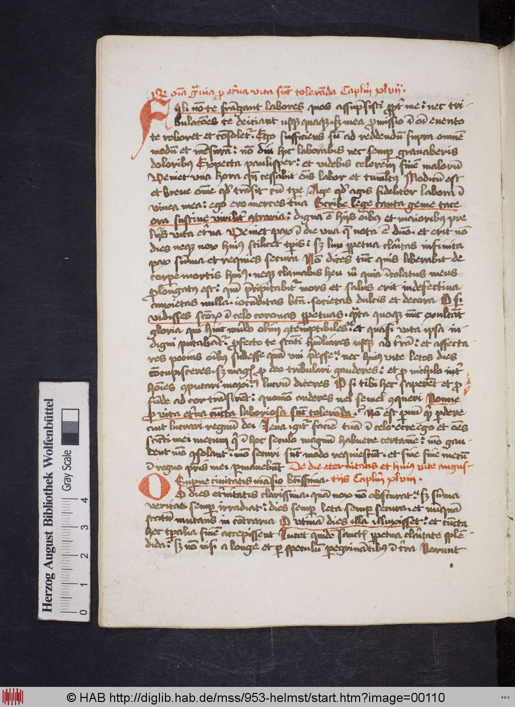 http://diglib.hab.de/mss/953-helmst/00110.jpg