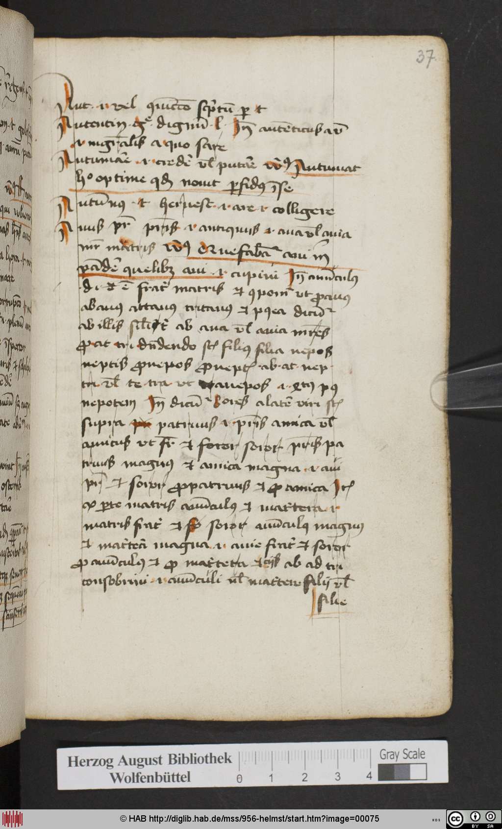 http://diglib.hab.de/mss/956-helmst/00075.jpg