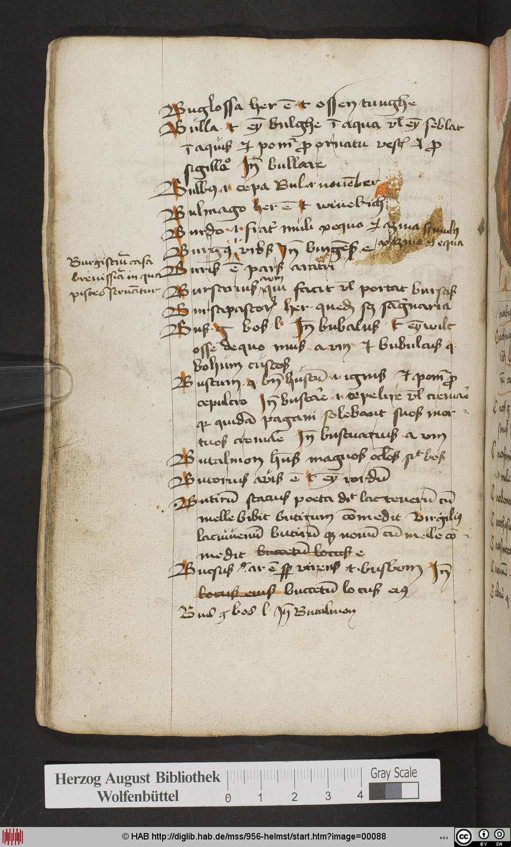 http://diglib.hab.de/mss/956-helmst/00088.jpg