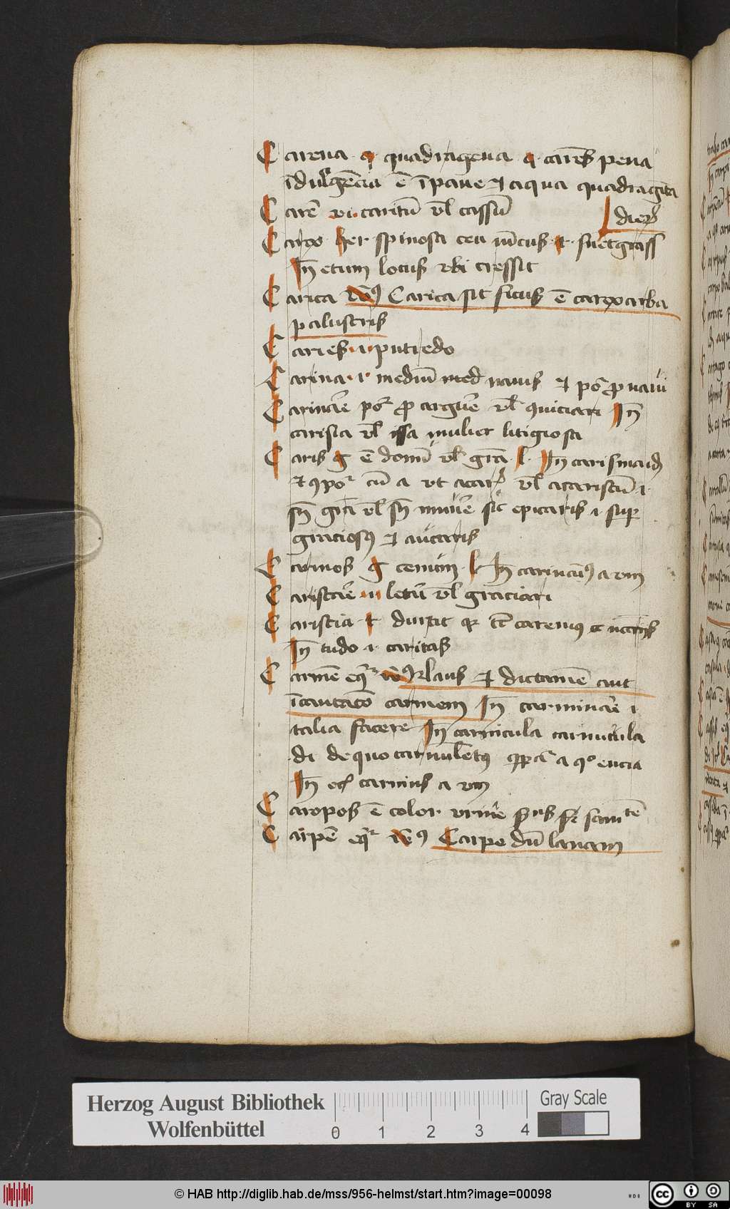 http://diglib.hab.de/mss/956-helmst/00098.jpg