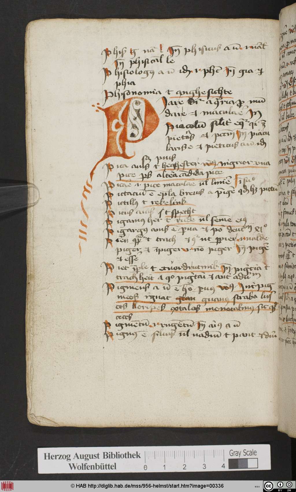 http://diglib.hab.de/mss/956-helmst/00336.jpg