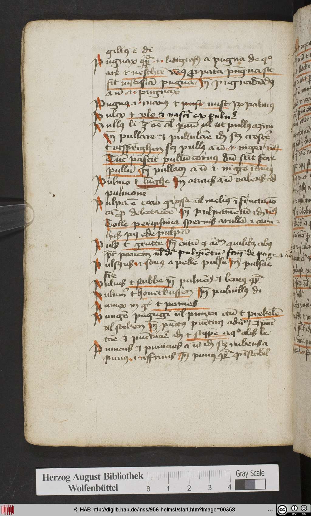 http://diglib.hab.de/mss/956-helmst/00358.jpg