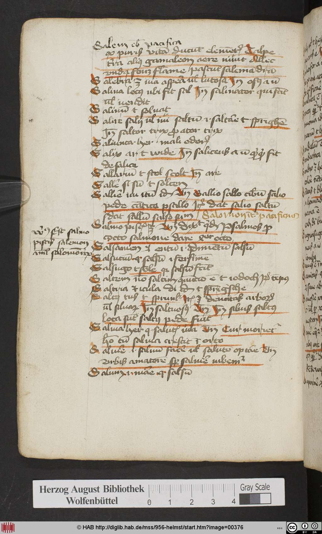 http://diglib.hab.de/mss/956-helmst/00376.jpg